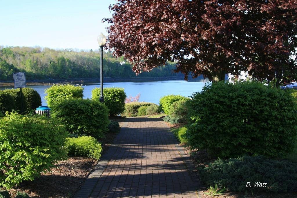 Bucksport Inn Zewnętrze zdjęcie